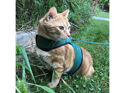Outdoor Adventure